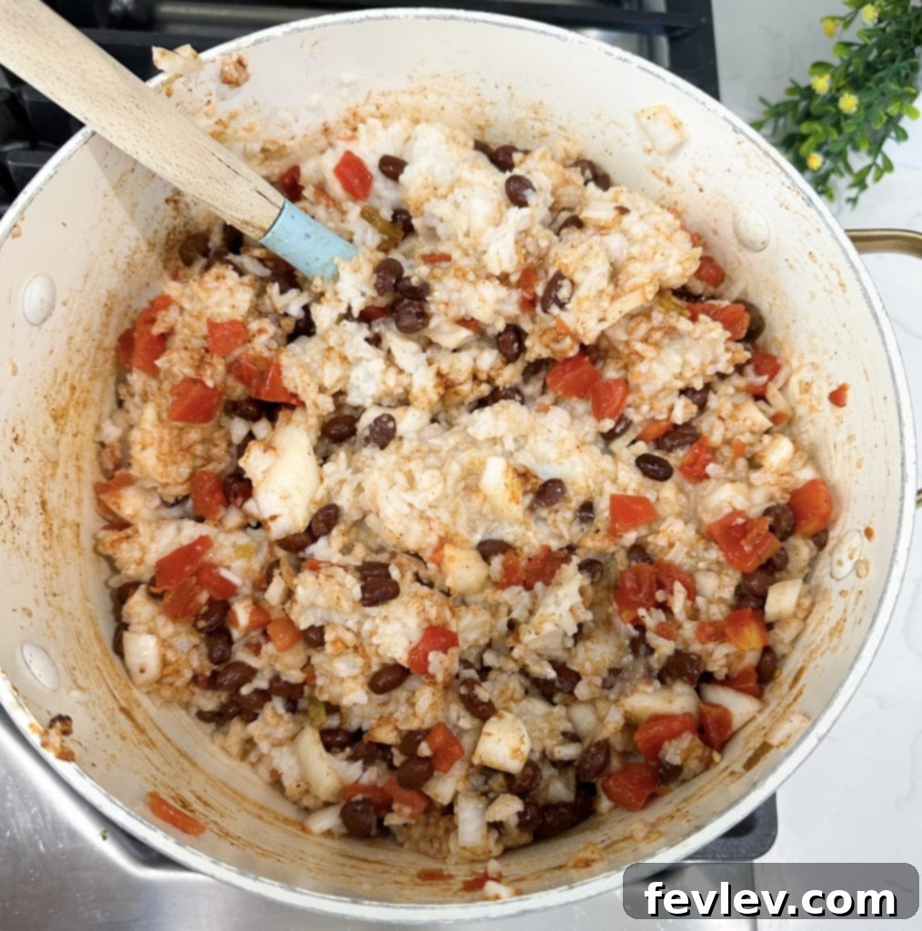 Taco Rice Dinner 5 taco rice