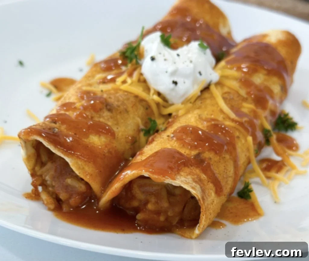 Plate of bean and rice enchiladas with fresh toppings