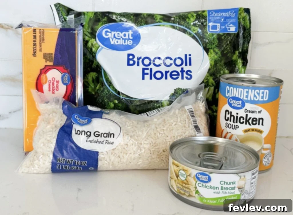 Budget-Friendly Chicken Broccoli Rice 2 Collection of fresh and pantry ingredients for chicken broccoli rice casserole