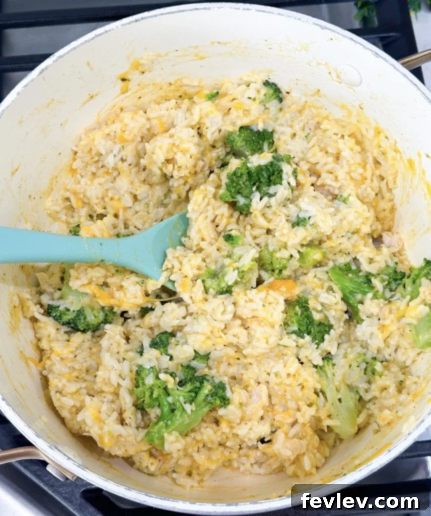Budget-Friendly Chicken Broccoli Rice 6 A serving of finished cheesy chicken broccoli rice casserole in a bowl
