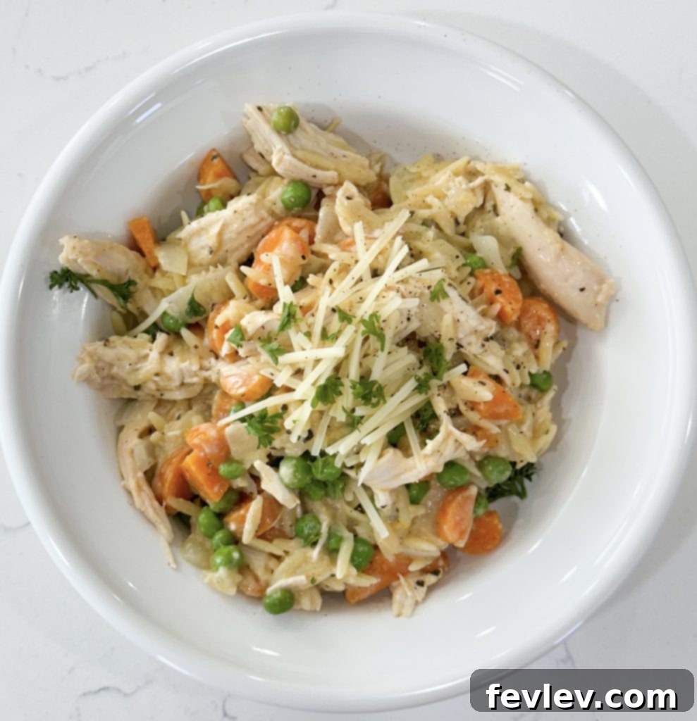 One-Pan Rotisserie Chicken and Orzo 7 rotisserie chicken with orzo skillet