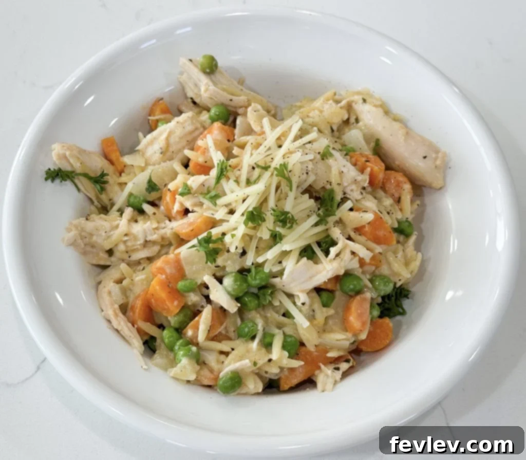 One-Pan Rotisserie Chicken and Orzo 9 rotisserie chicken with orzo skillet