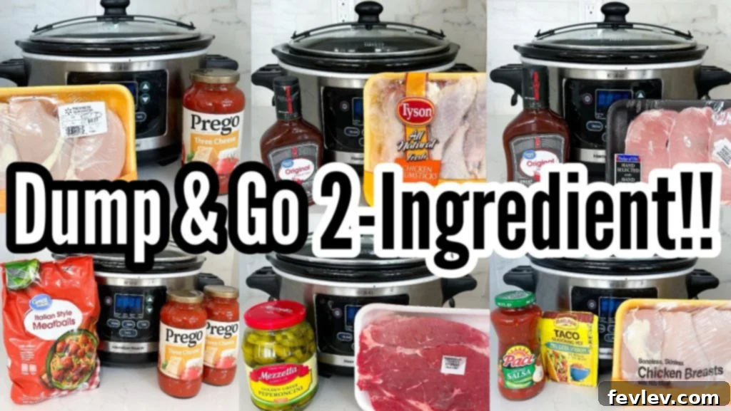 Dump and Go 2-Ingredient Slow Cooker Recipes
