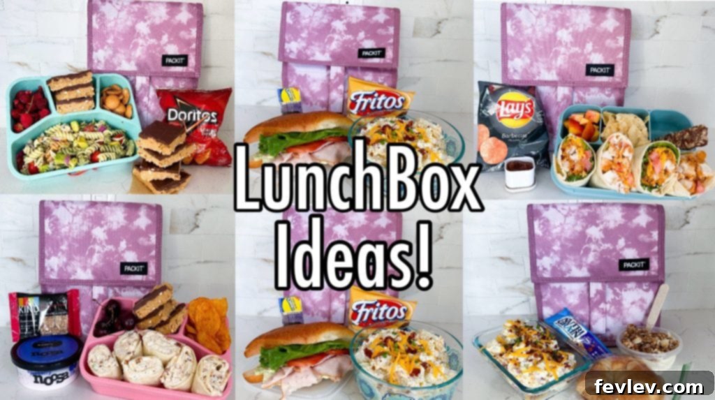 5 Fast and Flavorful Back-to-School Lunches 9 A curated collection of packed lunch ideas in colorful bento boxes