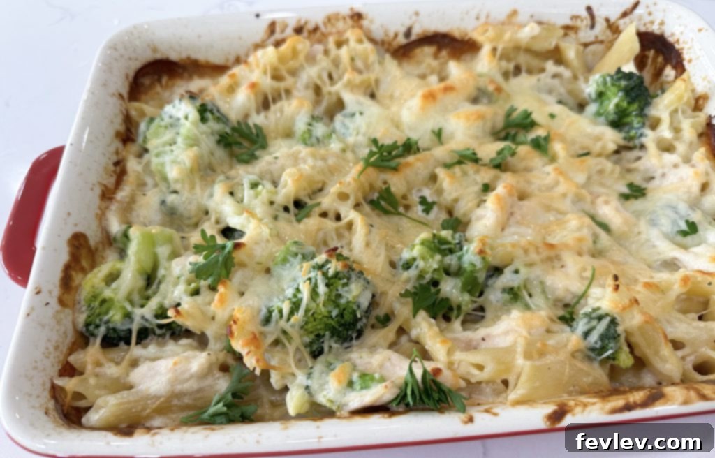 Dump and go garlic chicken pasta casserole served