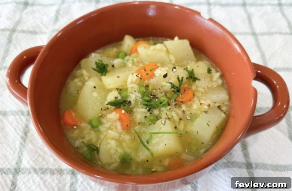 Thrive on $25: 7 Quick, Healthy Meals for Your Emergency Grocery Budget 7 Rice Veggie Stew - Healthy Budget Recipe