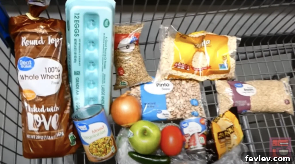 how to live on $1 a day