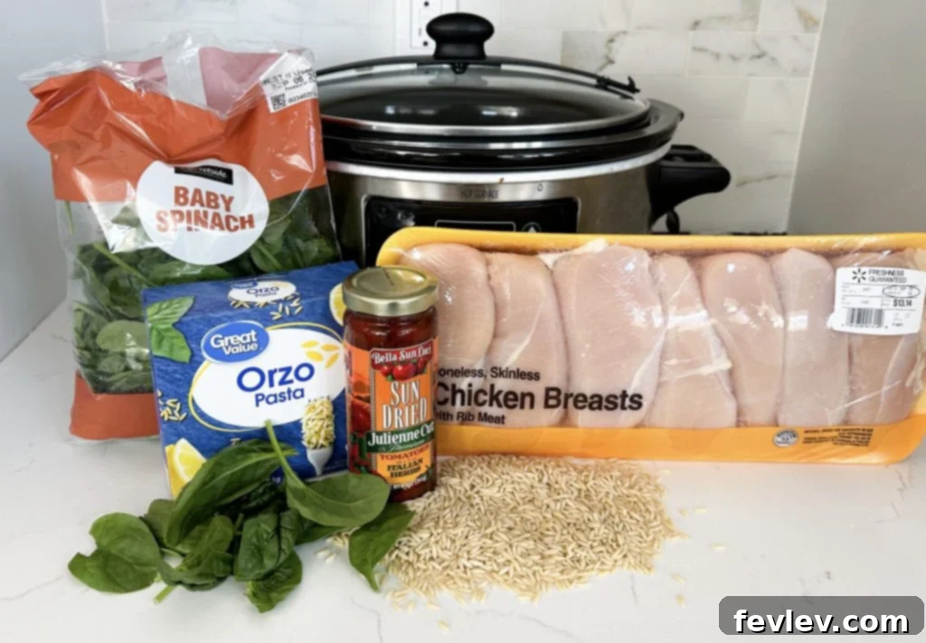 Fresh ingredients for slow cooker chicken and orzo recipe