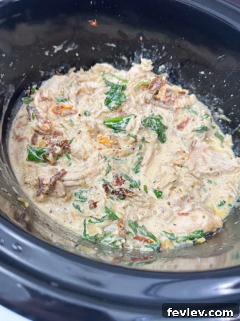 Finished plate of slow cooker creamy chicken and orzo