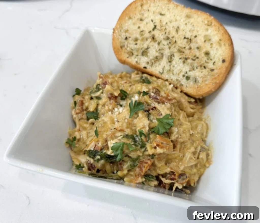 Close-up of creamy chicken and orzo dish texture