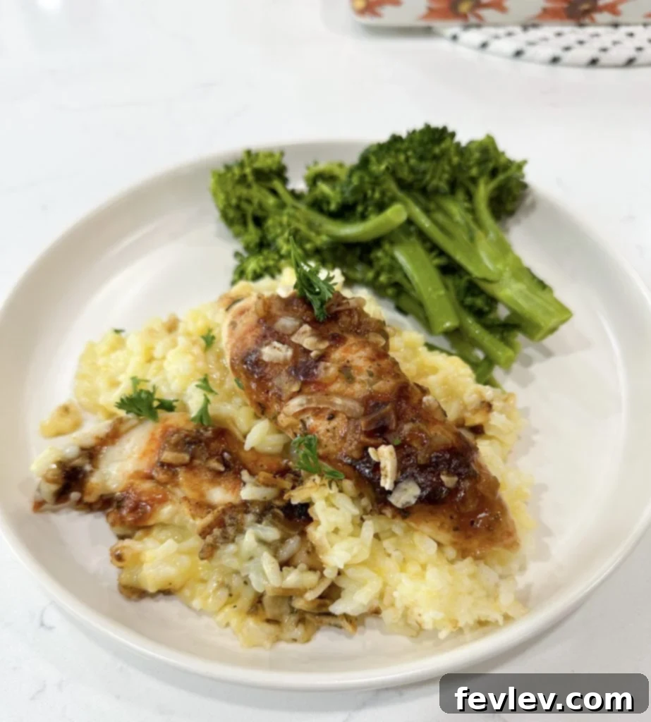 20 Easy 5 Ingredient Casseroles for Quick and Delicious Dinners 4 Simple and delicious No Peek Chicken Casserole with rice and tender chicken