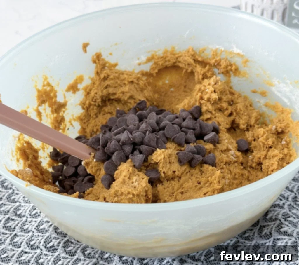 Pumpkin cookie dough with chocolate chips