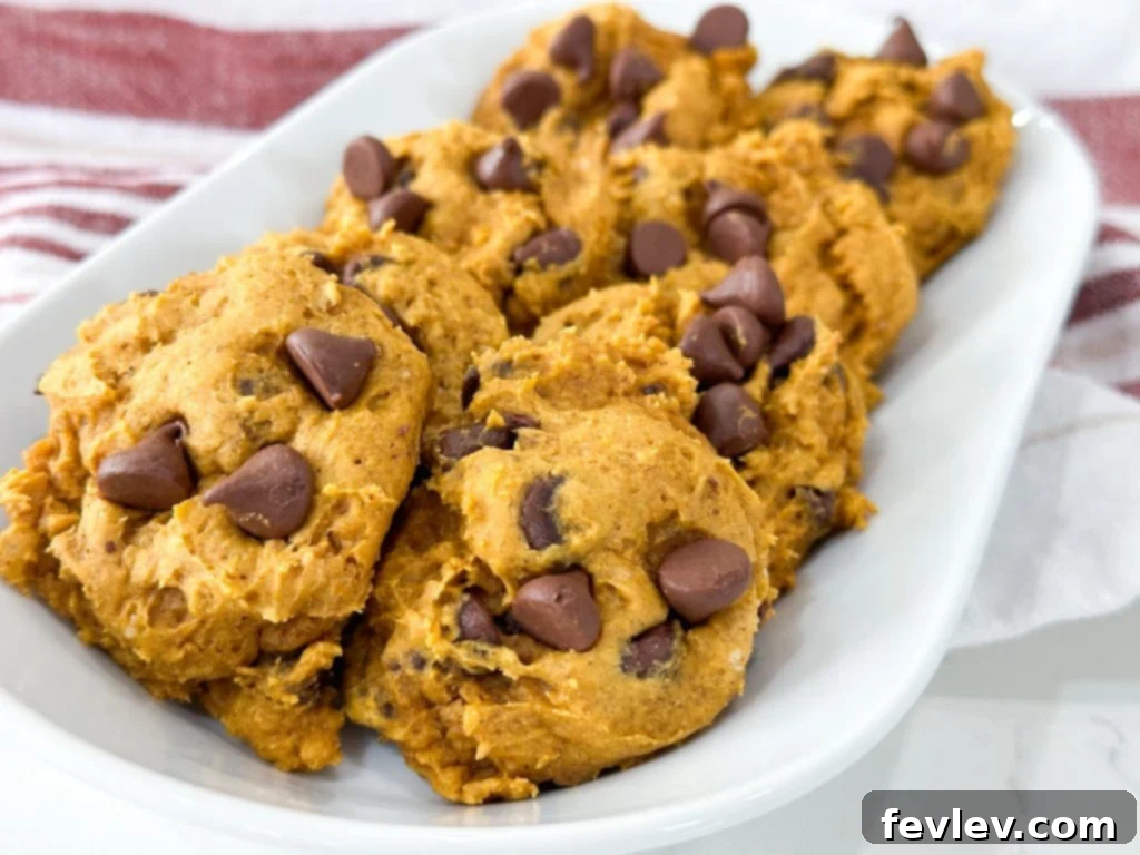 Close up of 3 ingredient pumpkin cookies with chocolate chips