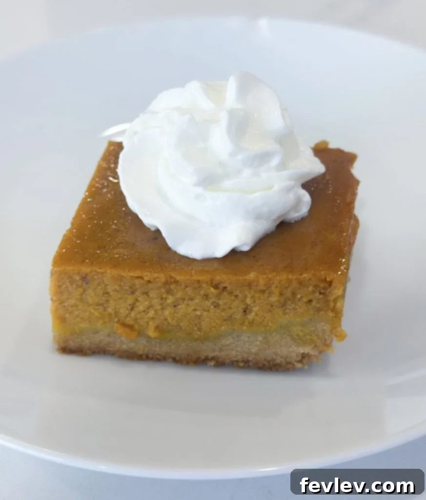 Spiced Pumpkin Bars 7 Pumpkin Pie Bars