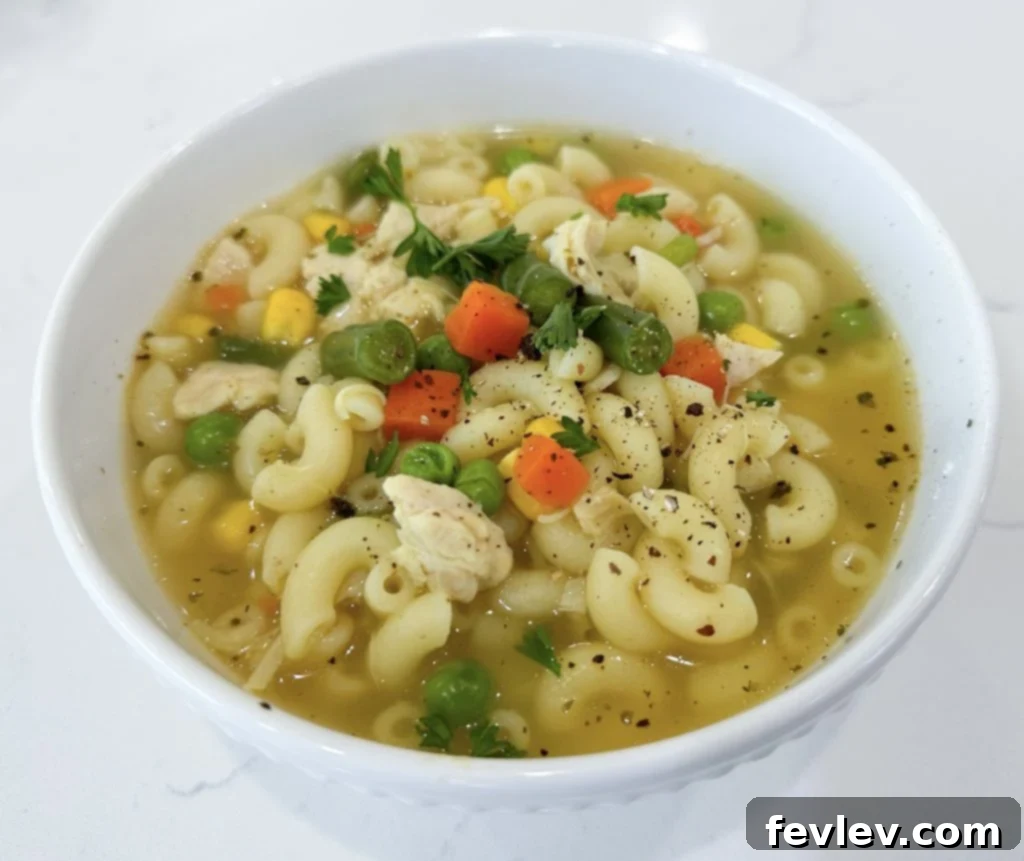 Bowl of one pot chicken noodle soup with crackers