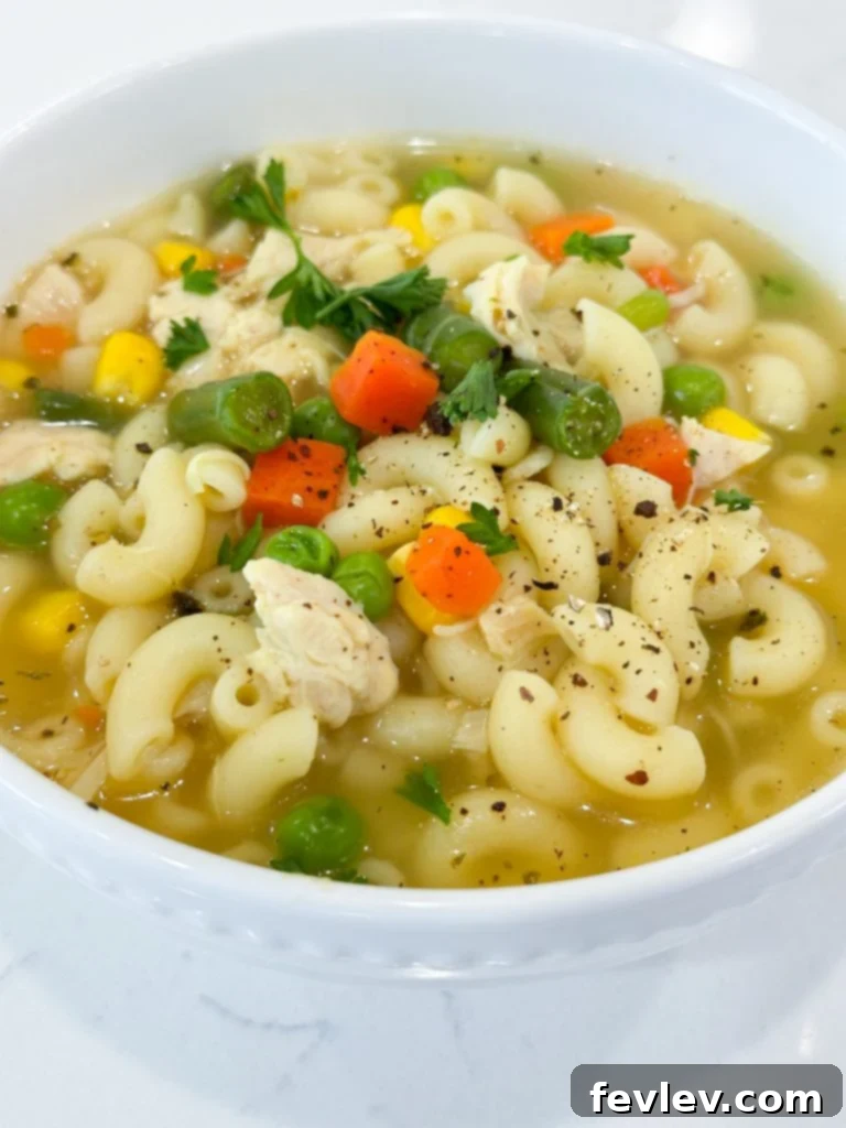 Close-up of a bowl of one pot chicken noodle soup, garnished