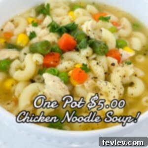 A comforting bowl of One Pot Chicken Noodle Soup
