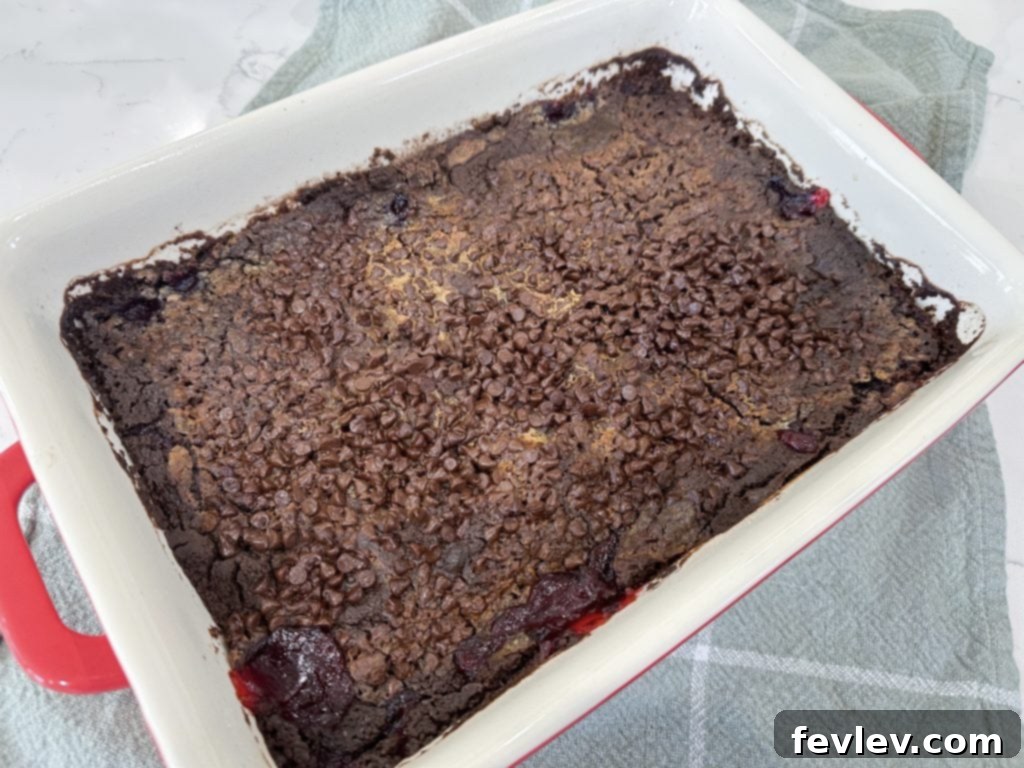 A slice of warm Black Forest Dump Cake served with a scoop of melting vanilla ice cream