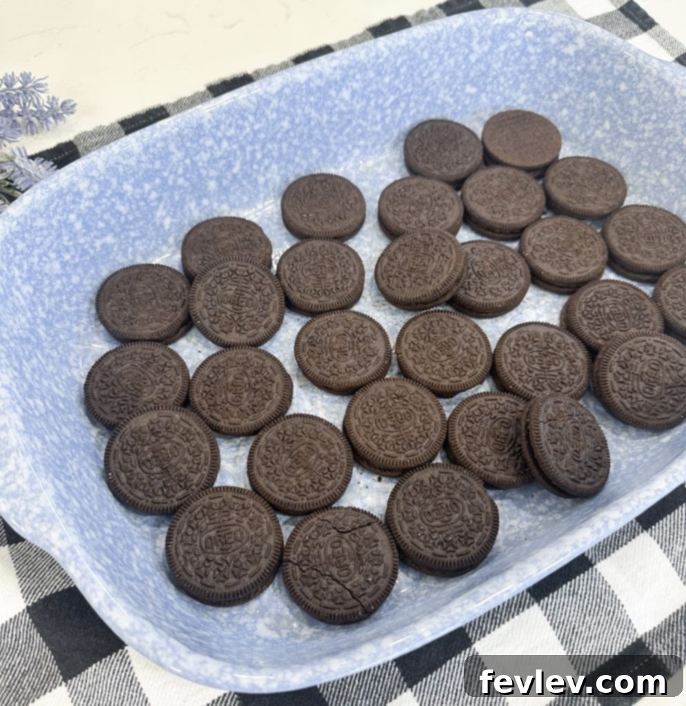 Oreo cookies arranged in a single layer at the bottom of a baking dish