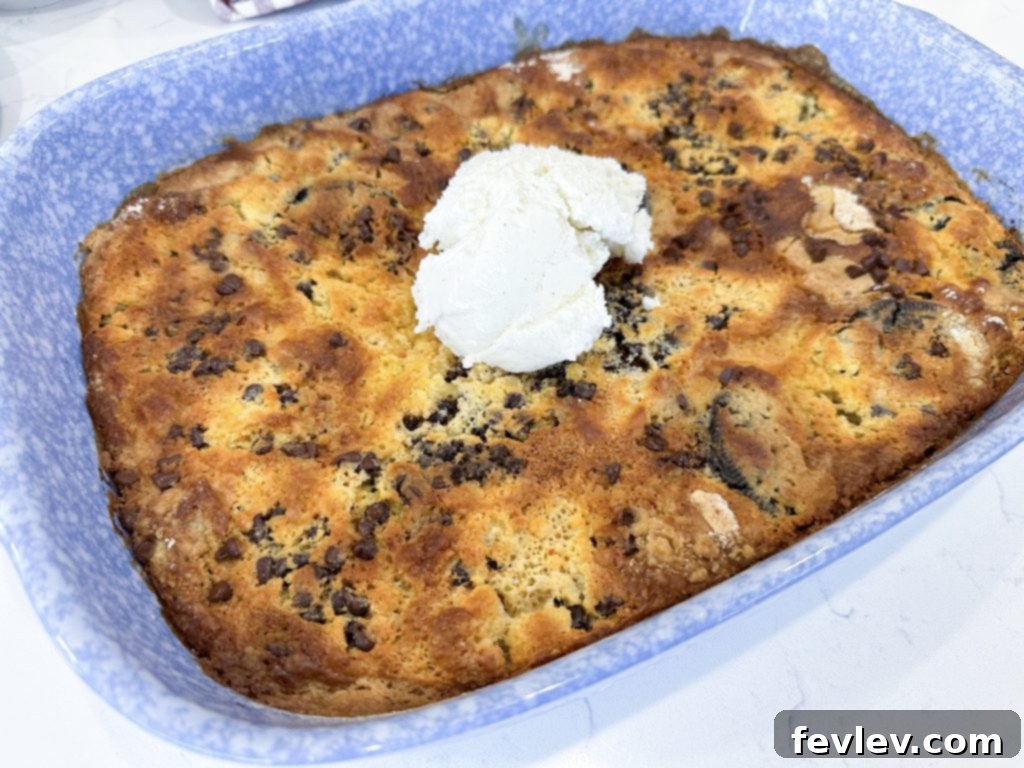Freshly baked Oreo dump cake, golden brown and ready to be served