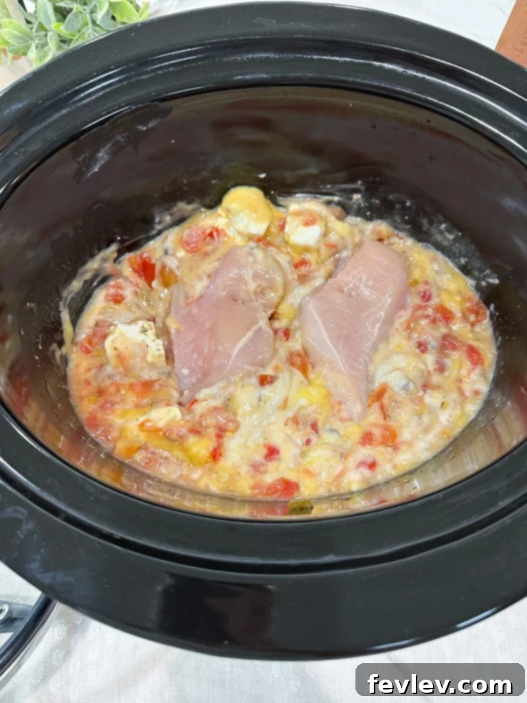 Creamy Slow Cooker Chicken Spaghetti 3 All ingredients for Slow Cooker Chicken Spaghetti combined in the slow cooker before cooking, showing a creamy base with chicken breasts.