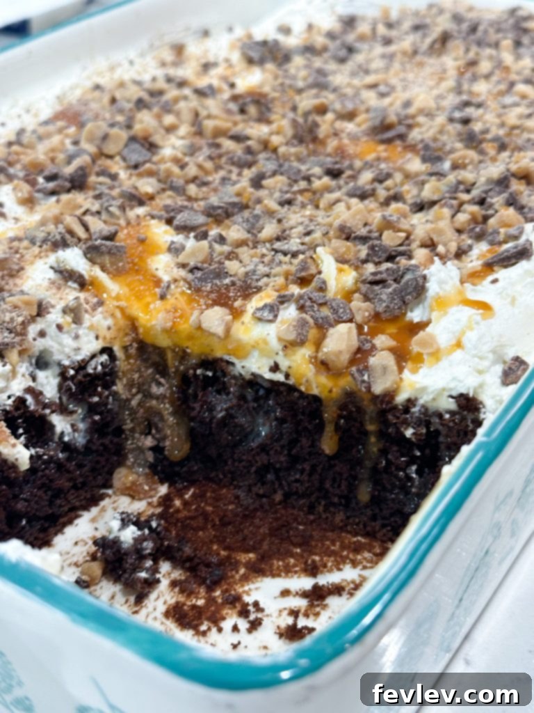 Ultimate Decadence Cake 8 Close-up of the finished Better Than Anything Cake with toppings