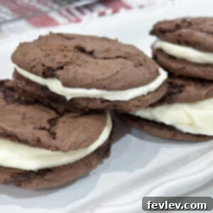 Homemade Oreo cookie sandwiches