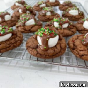 Warm and soft hot cocoa cookies, a perfect treat for winter, deliciously topped with mini marshmallows and a dusting of powdered sugar.
