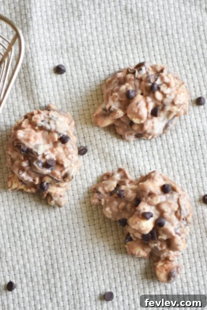 Rapid Avalanche Cookie Clusters 2 no bake avalanche cookies