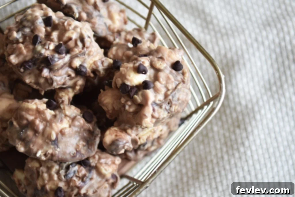 Rapid Avalanche Cookie Clusters 4 no bake avalanche cookies