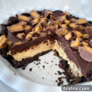 Rich Peanut Butter Chocolate No-Bake Pie