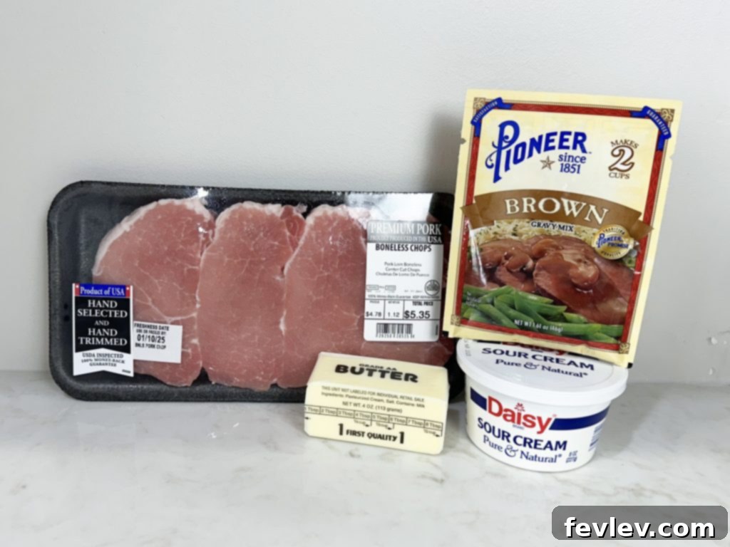Effortless Pork Chops with Savory Gravy 2 Easy Pork Chops and Gravy ingredients