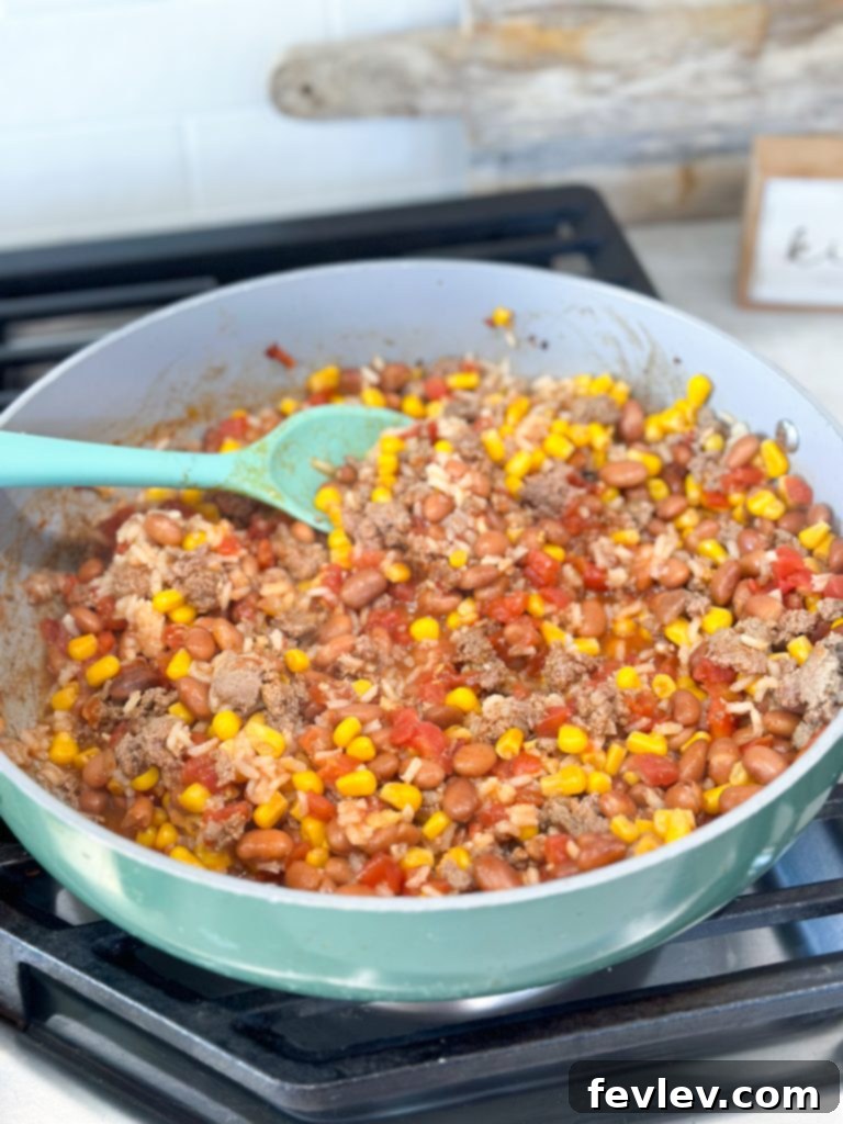 Extreme budget dollar dinners: Close-up of turkey rice taco skillet cooking, showcasing a healthy and easy dinner.