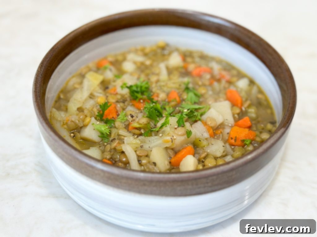 Extreme budget dollar dinners: Hearty lentil, carrot, and cabbage stew with potatoes, a warming and cheap family meal.