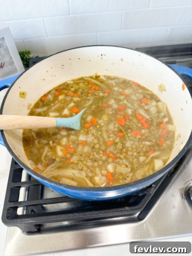 Extreme budget dollar dinners: Cooking lentil stew recipe with vegetables in a pot, a healthy and cheap dinner idea.