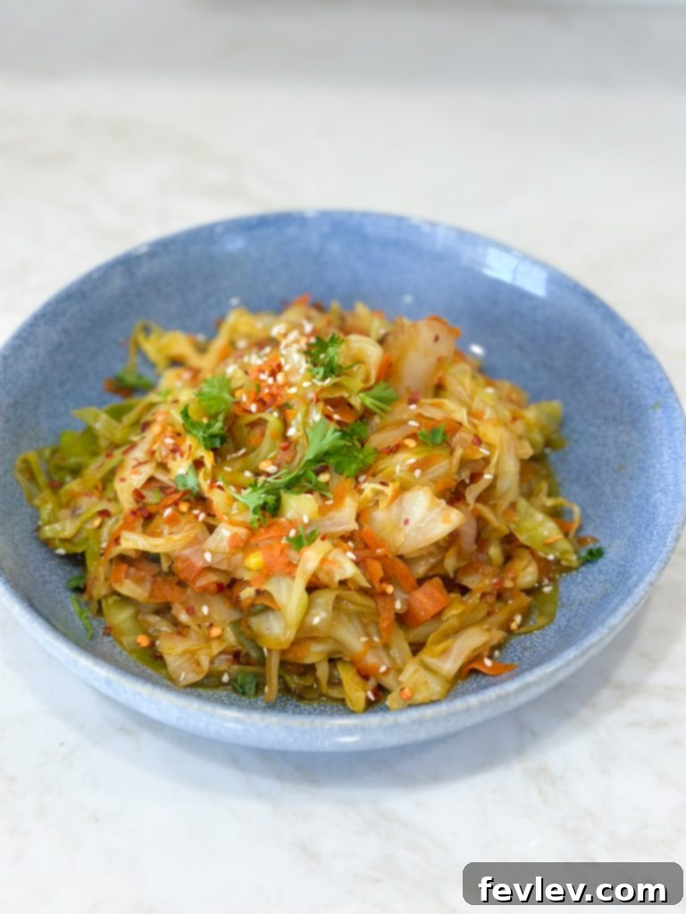Extreme budget dollar dinners: Easy cabbage stir fry with mixed veggies, a fast and healthy meal plan option.