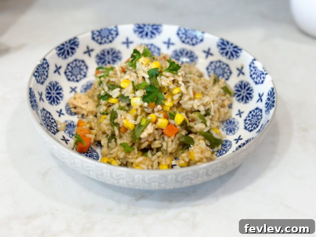 Extreme budget dollar dinners: Flavorful rice, chicken, and veggie skillet, an easy and healthy family meal plan.
