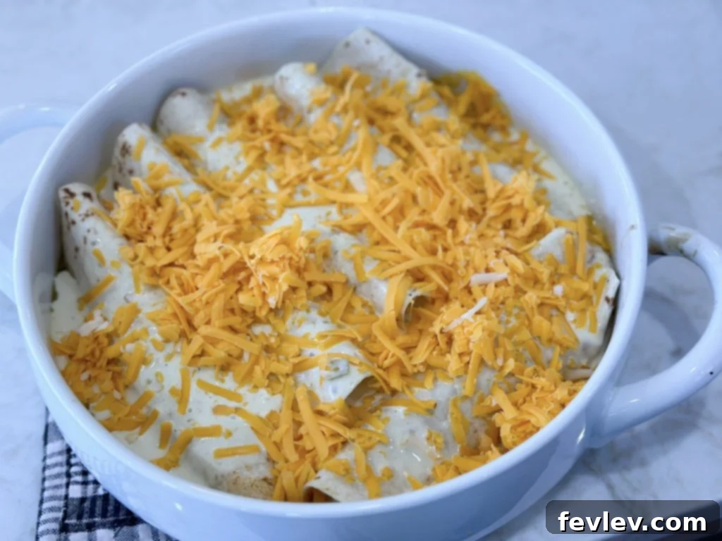 Golden Honey-Lime Chicken Enchiladas 5 tasty honey lime chicken enchiladas