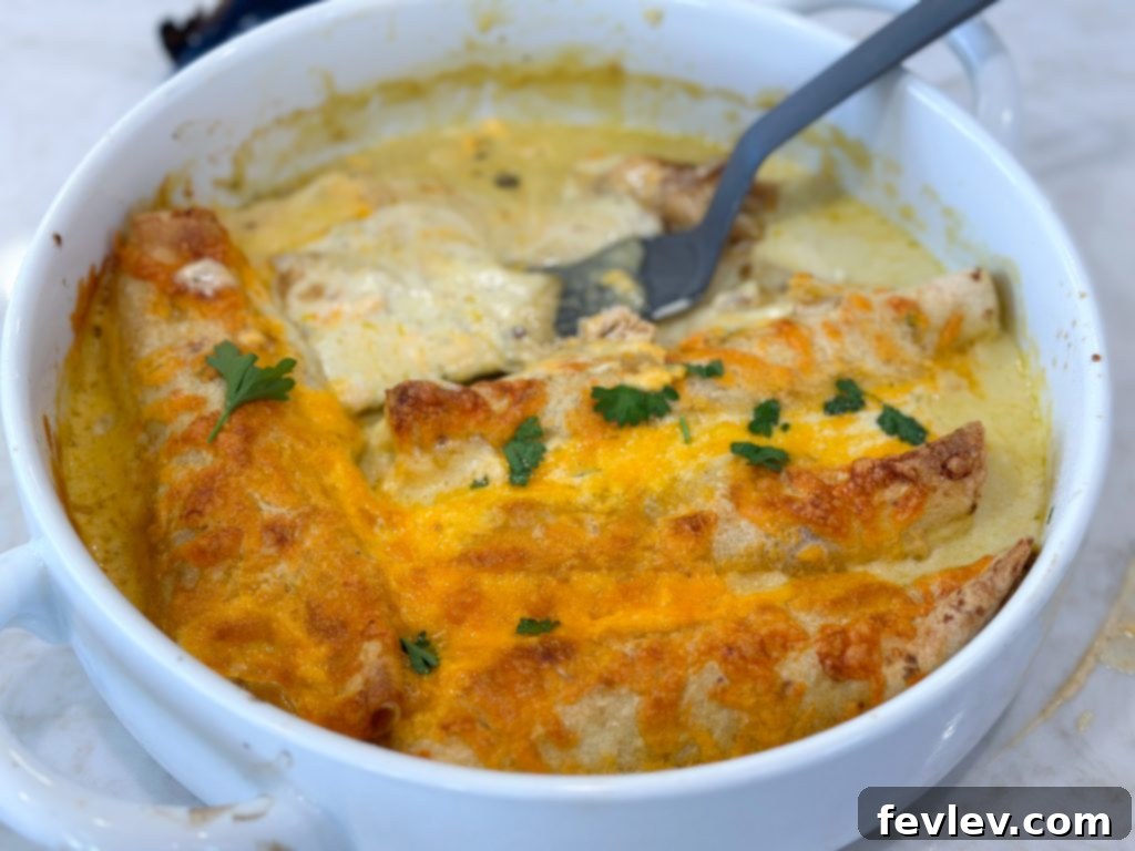 Golden Honey-Lime Chicken Enchiladas 6 tasty honey lime chicken enchiladas