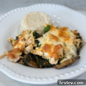Rotisserie Chicken Casserole Hacks for Effortless Meals 6 Easy Healthy Chicken Casserole for a nutritious weeknight meal.