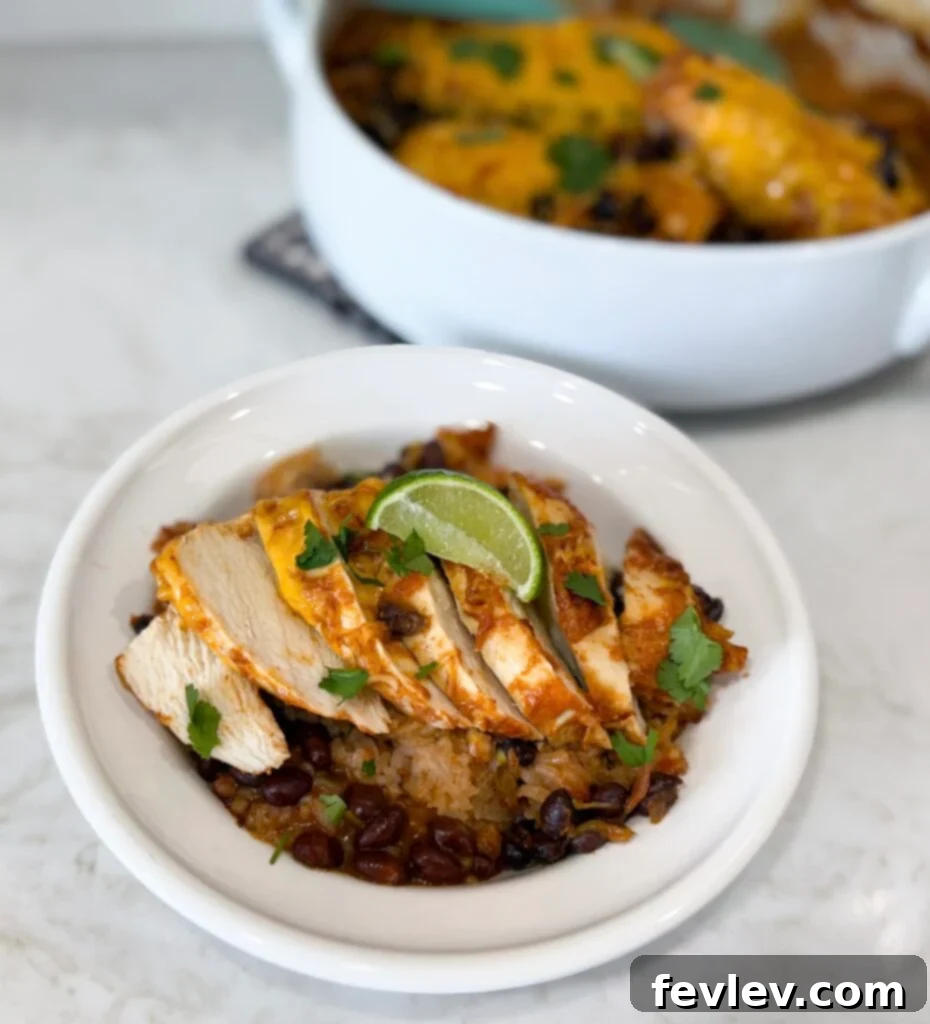 Southwestern Chicken and Black Bean Rice Bake 4 Chicken Black Bean and Rice Casserole, ready to be served