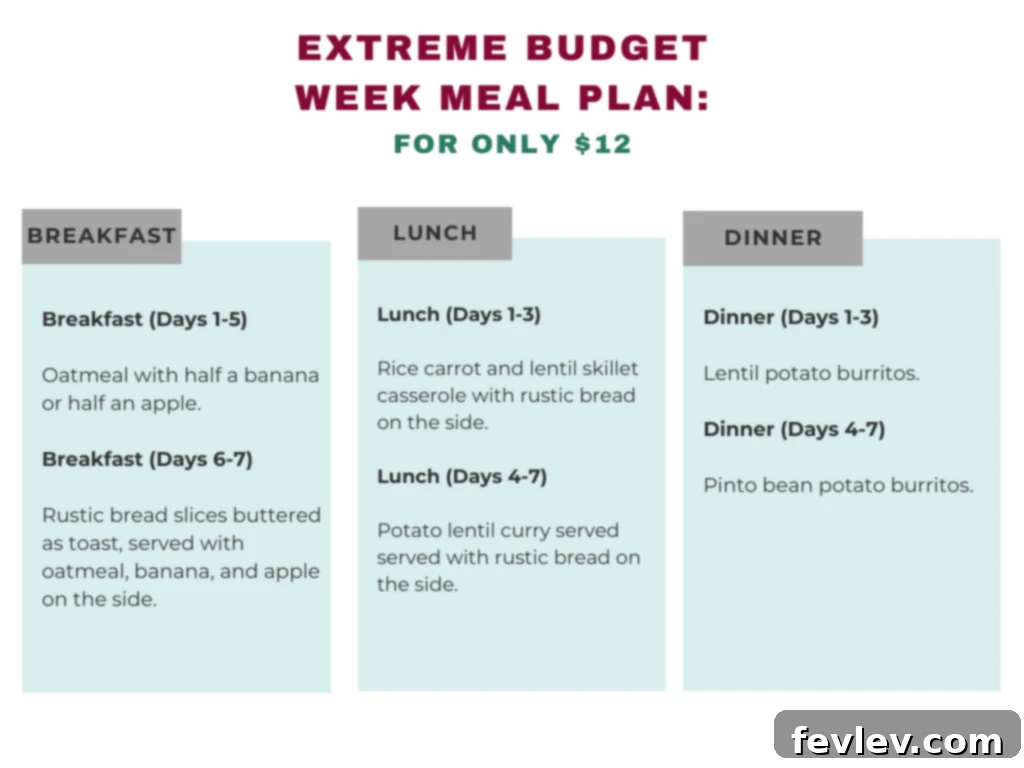 $12 Weekly Food Challenge: Healthy Easy Budget Meals 8 extreme budget weekly meal plan