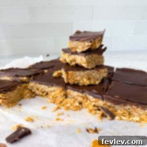 easy peanut butter oat bars