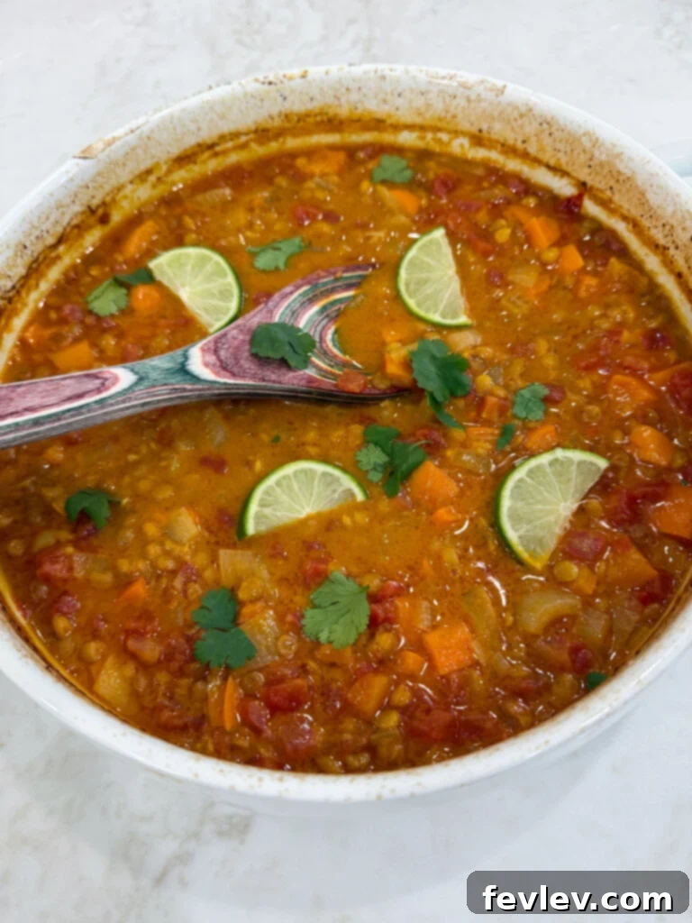 indian curry with lentils and rice