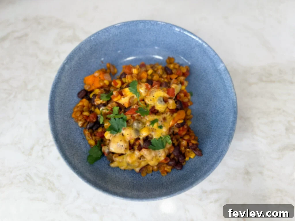 lentil mexican skillet with cheese and cilantro