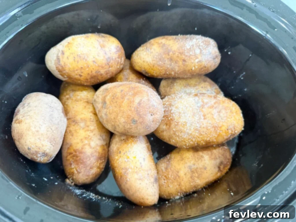 seasoning russet potatoes with olive oil and garlic salt