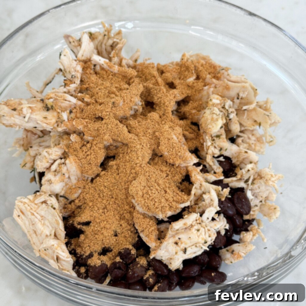 Seasoned chicken and black bean mixture