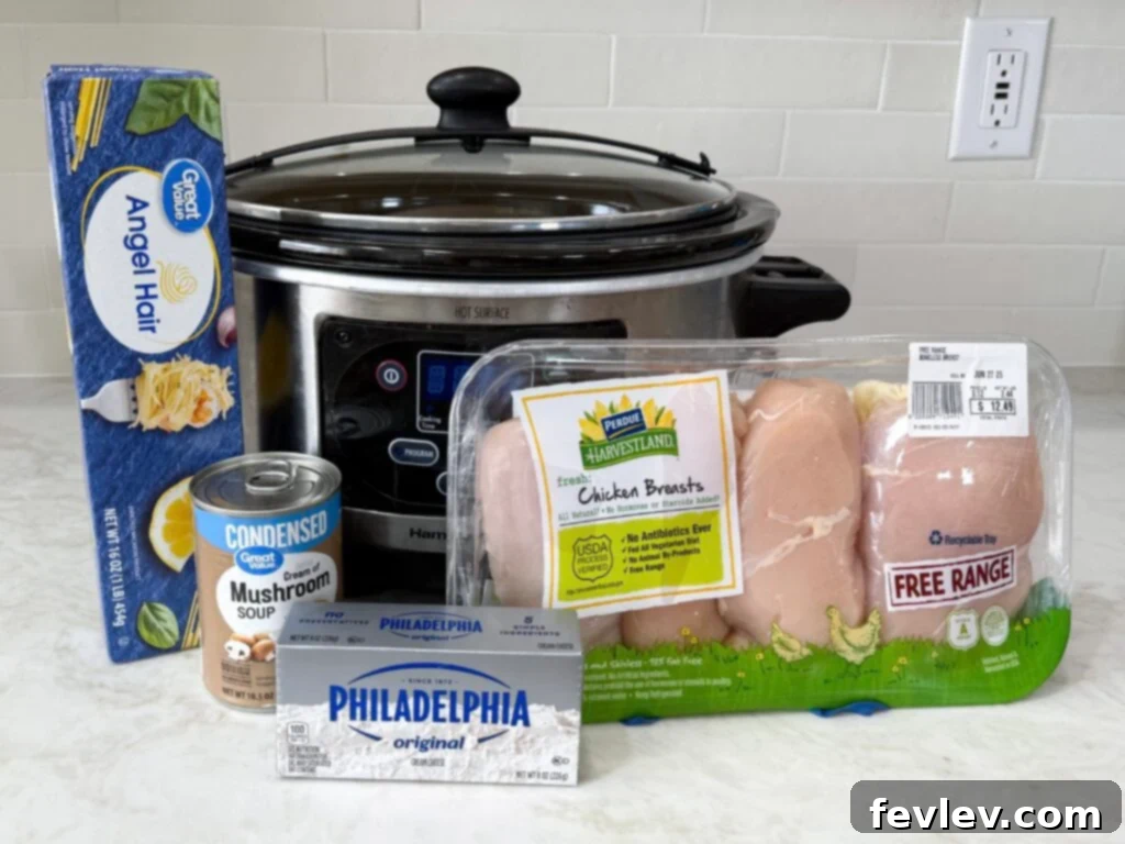 Creamy chicken pasta ingredients for a comforting slow cooker dish