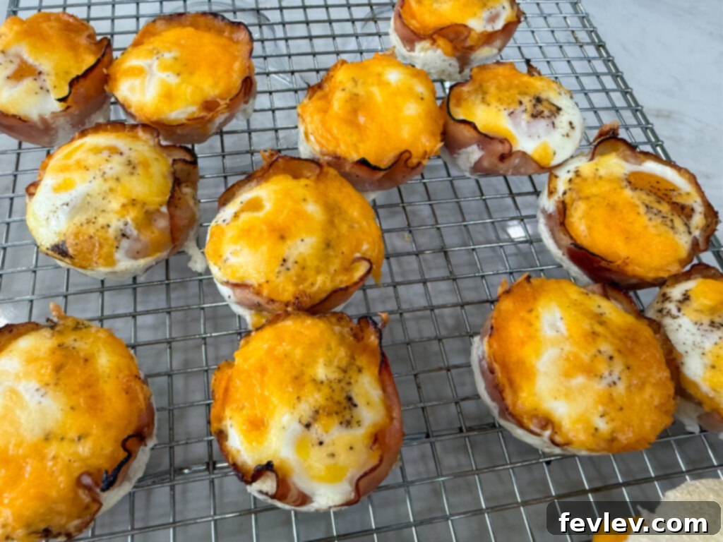 Effortless Breakfast Meal Prep 6 Golden brown ham and egg bites resting on a cooling rack after baking.