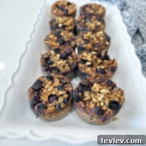 Individual blueberry oatmeal cups, baked to perfection in a muffin tin.